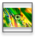collage image title