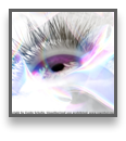 collage image title